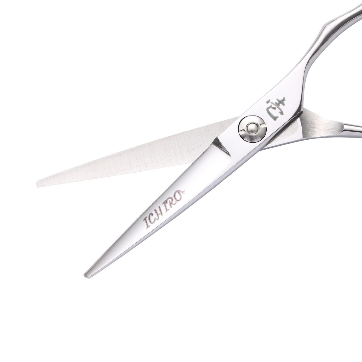 Ichiro Ergo Serrated Hairdressing Scissor Master Set - Scissor Hub Australia